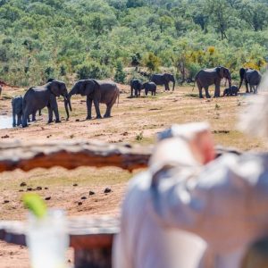 10 Day Unforgettable Victoria Falls: Zambezi Wilderness Safari