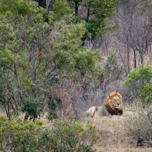 18 Days Johannesburg to Maun