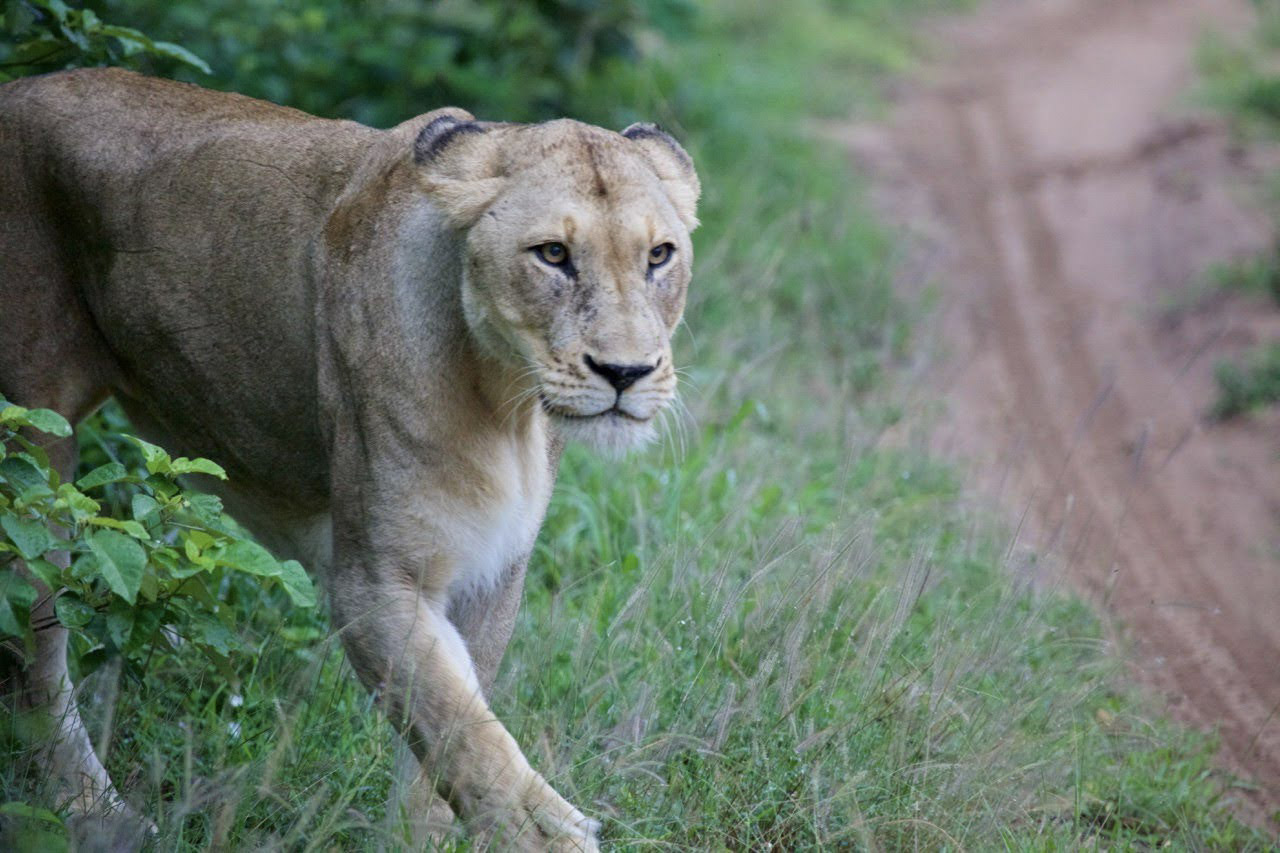 Kruger Mozambique Overland Tour