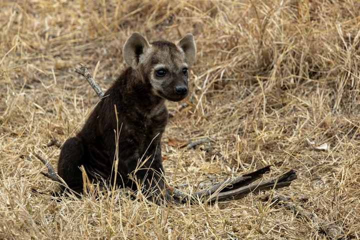 African Overland Tours