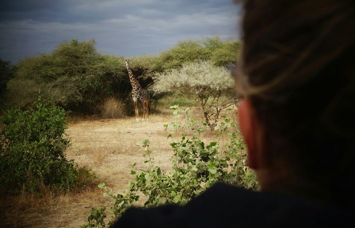 African Overland Tours, Lake Manyara