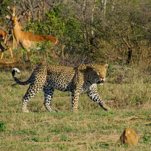 14 day Mozambique Coast & Zimbabwe Escapes Small Group