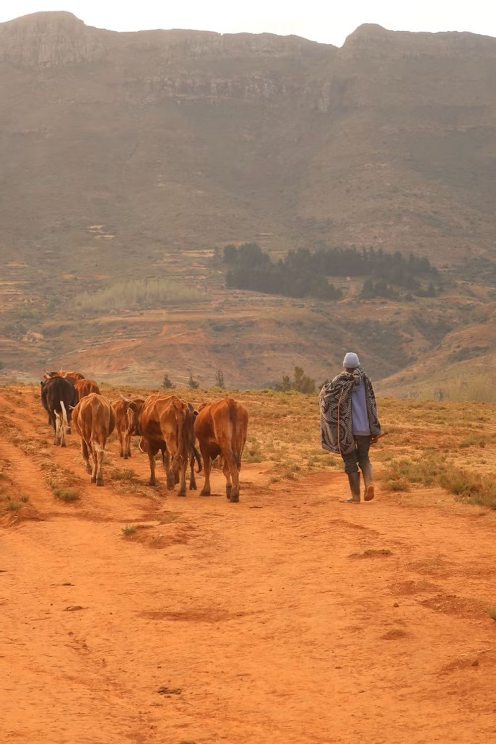 UBOH Day 4: Lesotho Highlands, South Africa