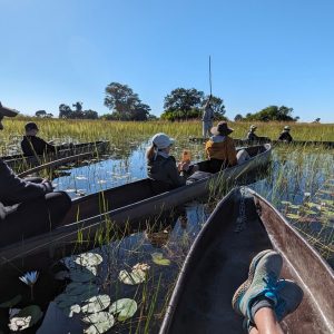 10 Day Botswana Family Tour