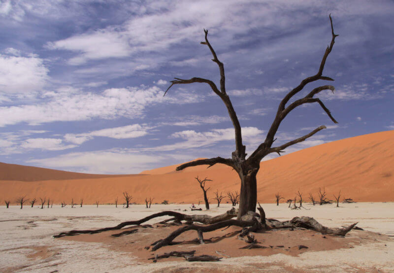 Namib Desert Tours see Soussesvlei