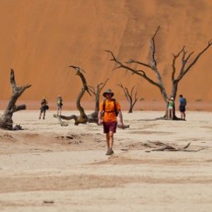 12 Day Namibia Overland Safari