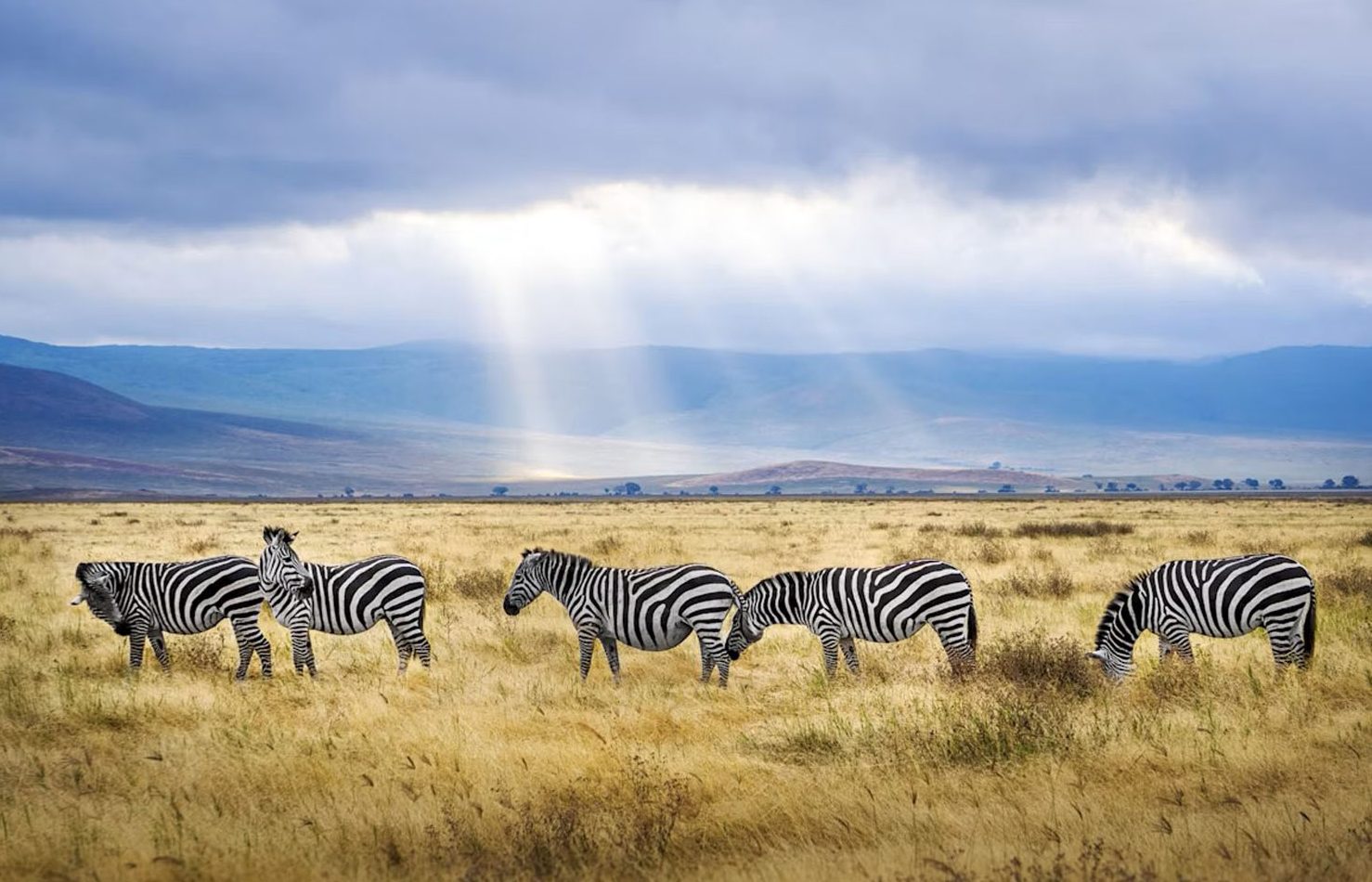 NANC58 Day 19: Karatu (NEW)