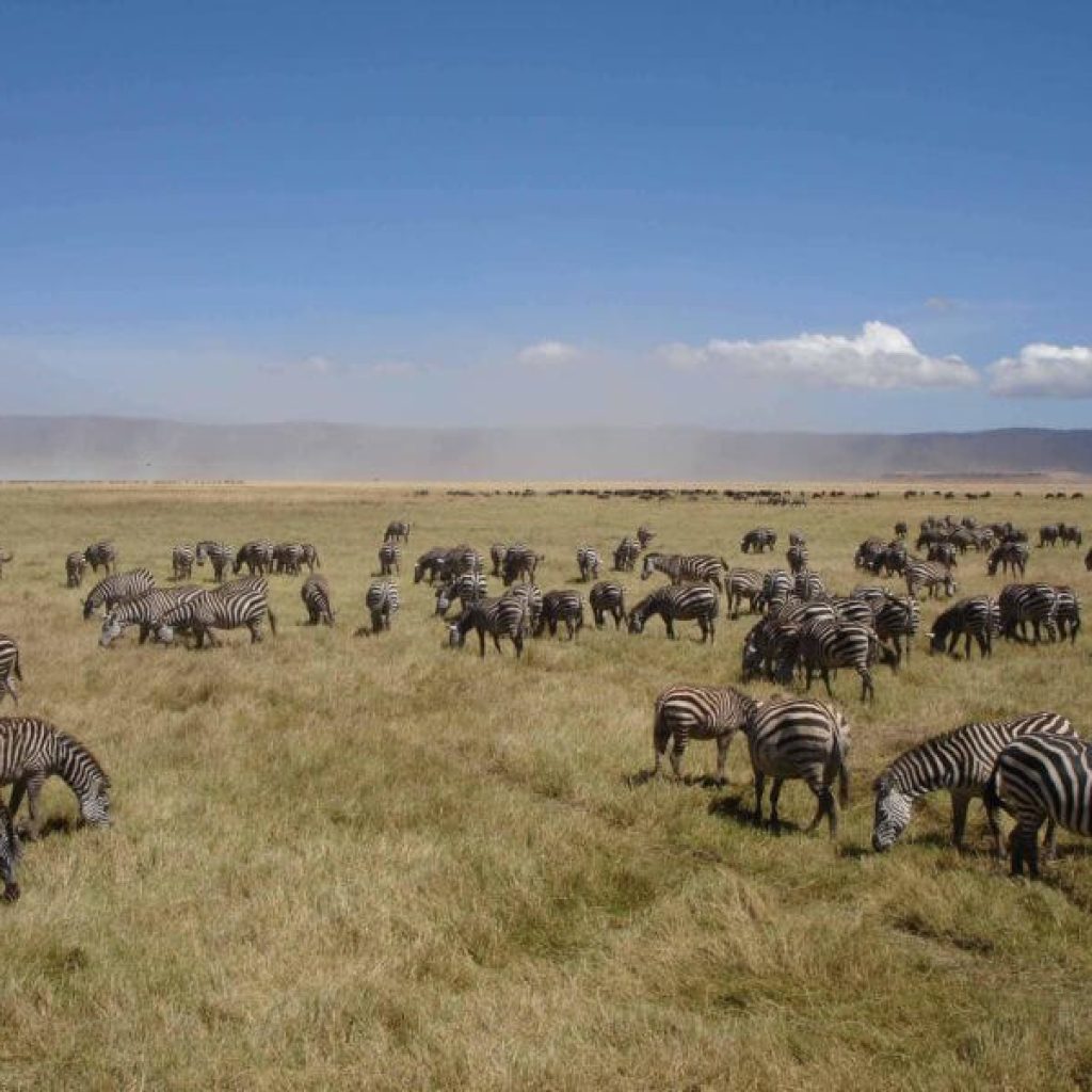 21 Day Nairobi to Livingstone Tour