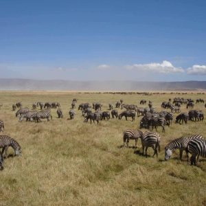 21 Day Nairobi to Livingstone Tour