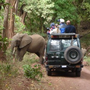 5 Day Safari Tanzania Tented Camp