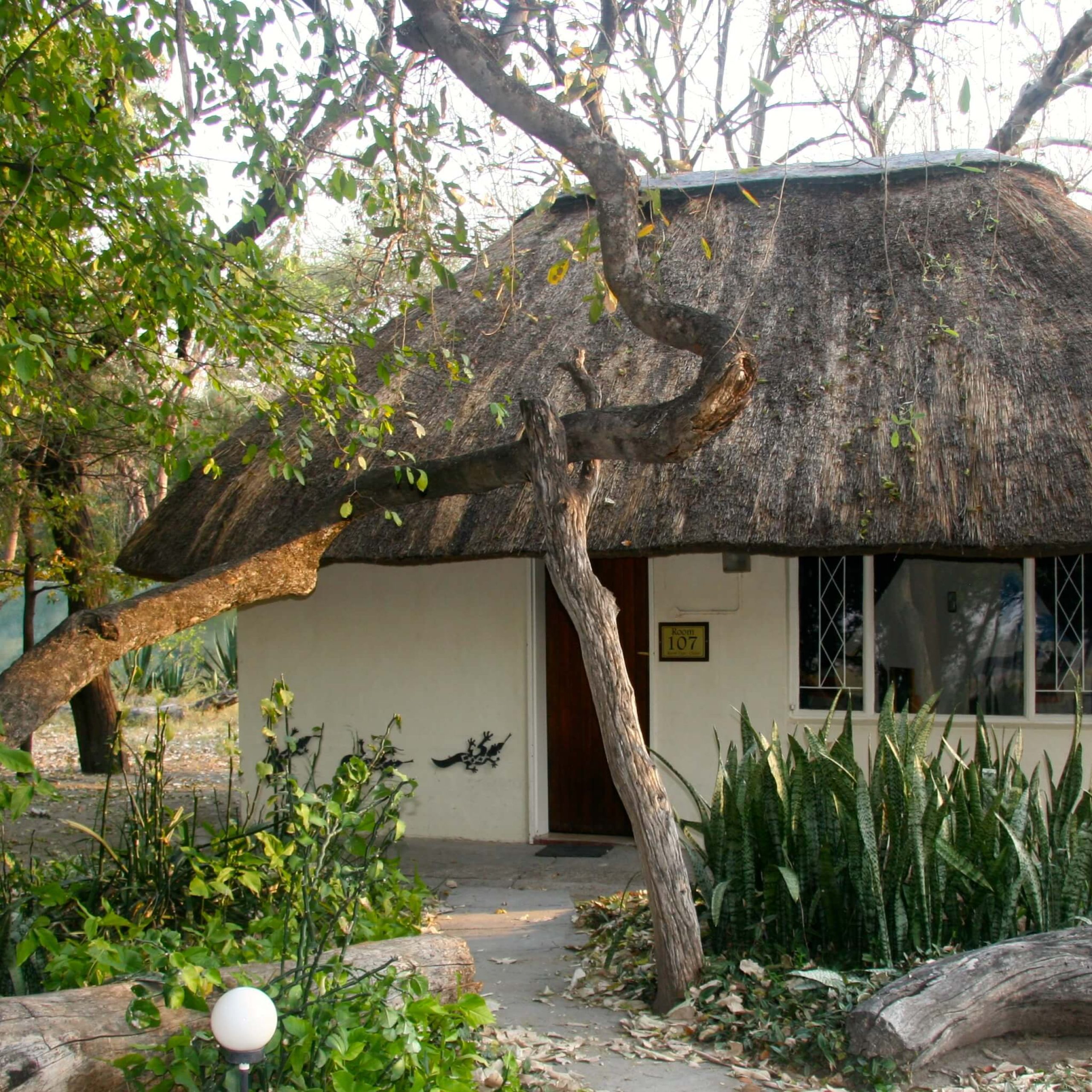 Island Safari Lodge - Maun