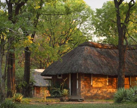 Wildlife Camp Chalets