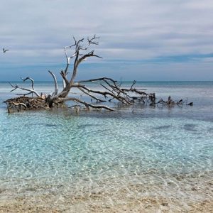 13 Day Madagascar Lemur & Coastal Escape