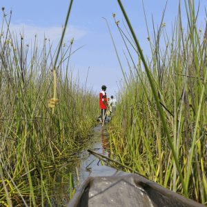 9 Days Beyond the Falls: Exploring Victoria Falls & Okavango Delta