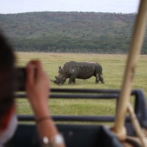 12 Day Kenya and Tanzania Wildlife Highlights