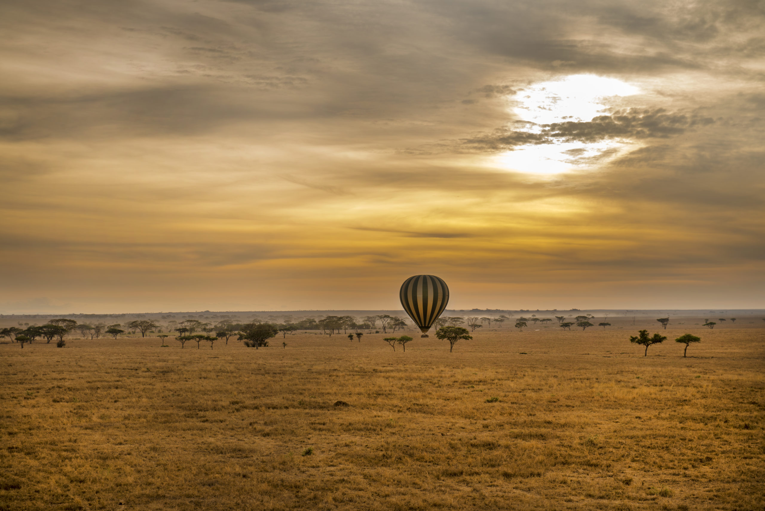 Serengeti on an Overland from Zanzibar to Uganda