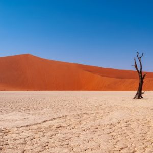 10 Day Windhoek to Windhoek Tour