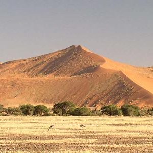 12 Day Windhoek to Victoria Falls Tour (Accommodated)