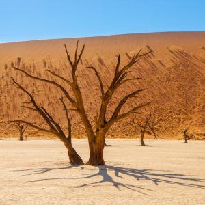 20 Day Cape Town to Victoria Falls Overland