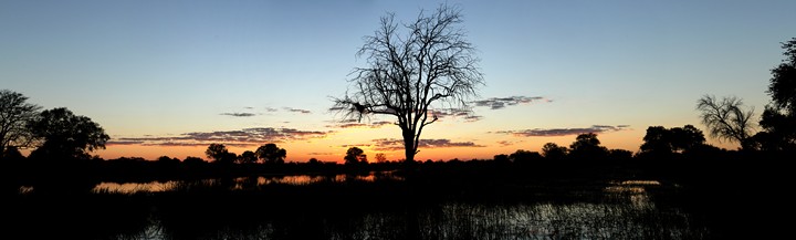 NAVVSG 2026 Day 7: Khwai Conservation Area, Botswana