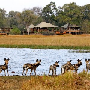11 Day Botswana and Zambia Deluxe Safari
