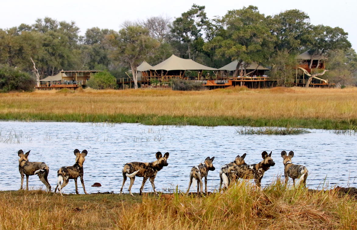 11 Day Botswana and Zambia Deluxe Safari