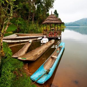 14 Day Gorillas and Game Parks Safari