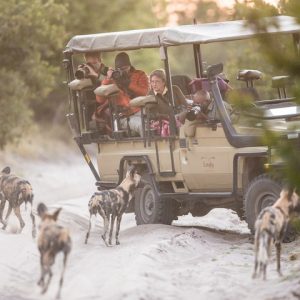 7 Day Explore Botswana’s Miracle Rivers: Khwai & Moremi Mobile Safari