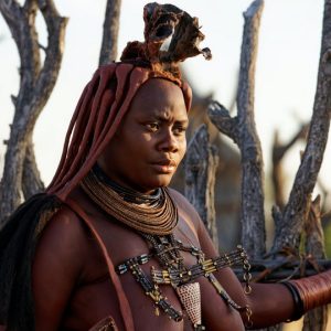 14 Day Northern Namibia Private Safari