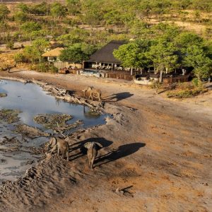 6 Day Chobe & Hwange Safari Escape