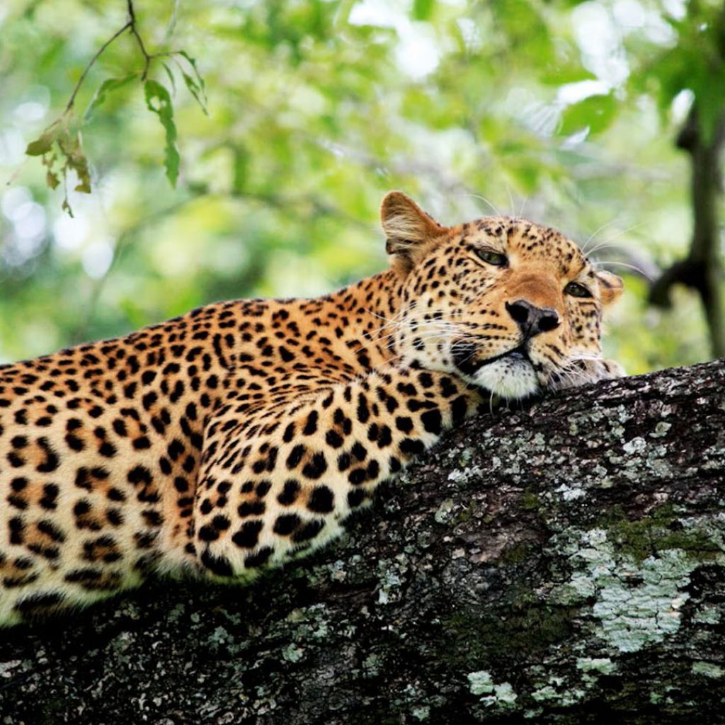 29 Day South Africa to Kenya Overland