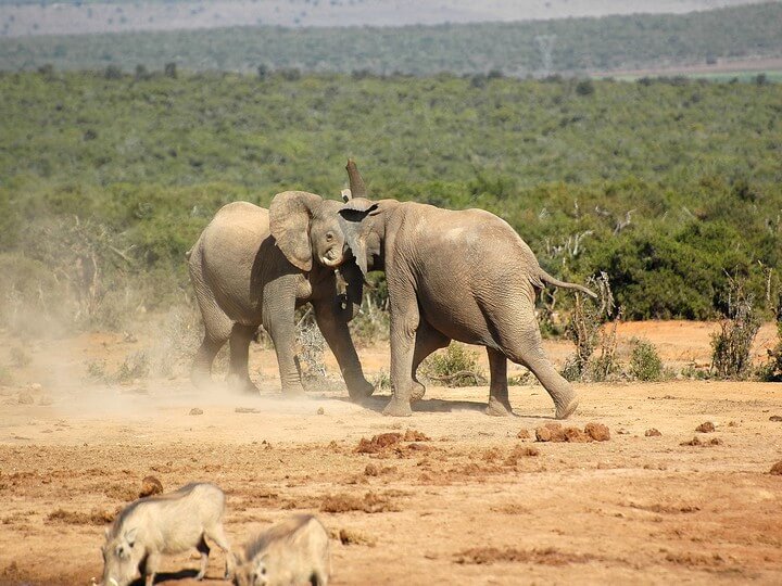 African Overland Tours