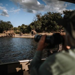 11 Day Botswana Mobile Safari