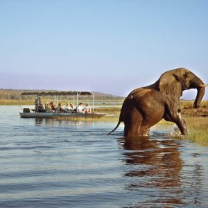 12 Day Okavango Delta and Victoria Falls Tour 3-4 Star Accommodation