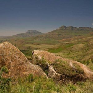 14 Day South African Adventure: Johannesburg to Cape Town