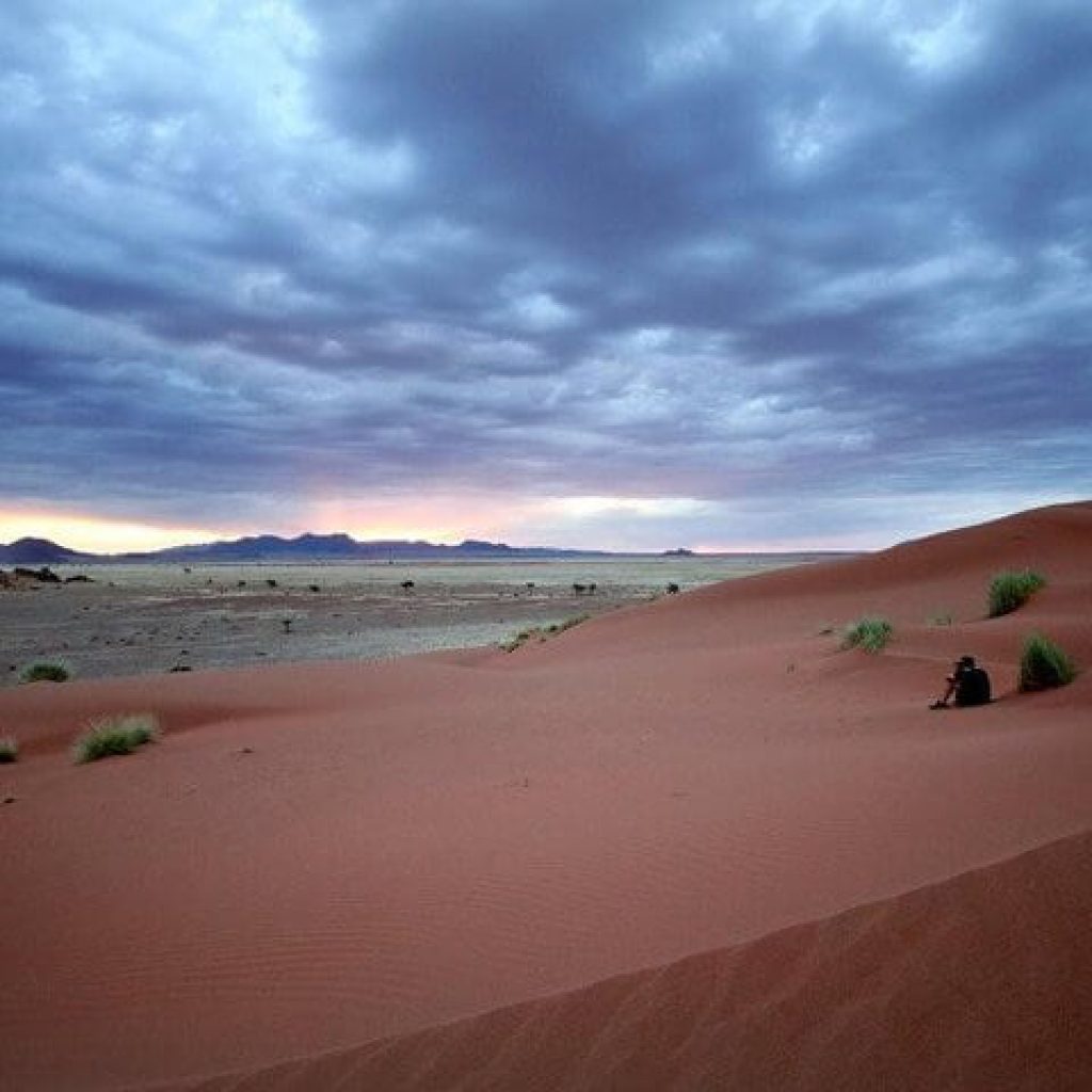 cape town to victoria falls safaris