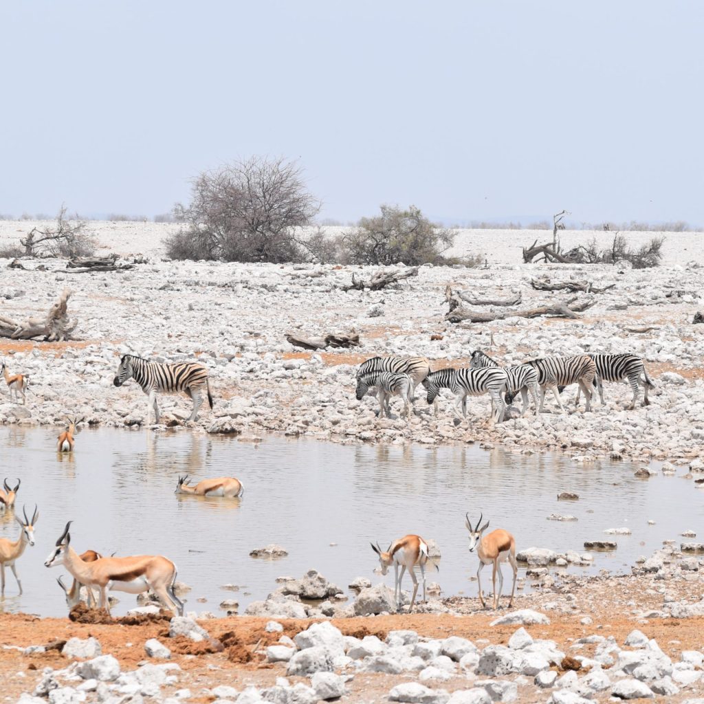 20 Day Cape Town to Victoria Falls Ultimate Lodge Tour