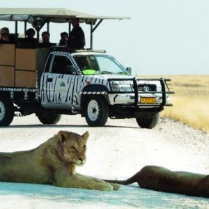 14 Day Ultimate Namibia Journey