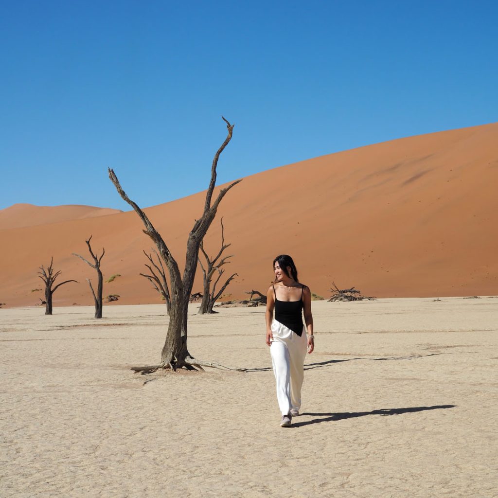 13 Day Namibian Highlights Safari