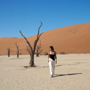 13 Day Namibian Highlights Safari