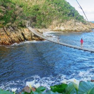 11 Day Tour of South Africa: Kruger, Cape Town & Garden Route