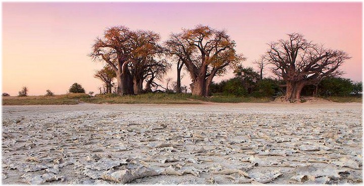 CV21 Day 18: Makgadikgadi Pans, Botswana