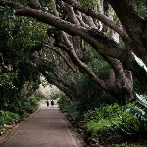 10 Day Cape Town to Kruger and Johannesburg Adventure