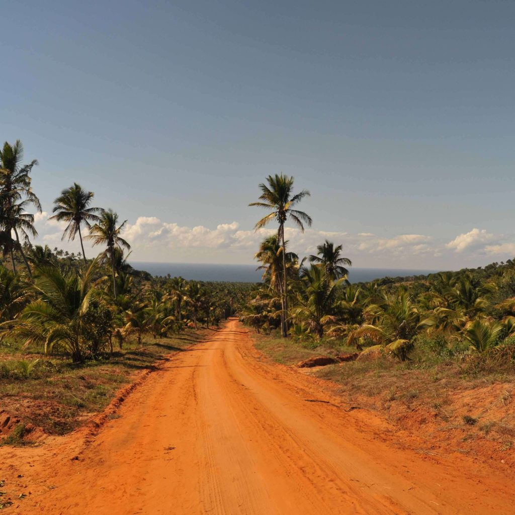 14 Day Beach and Wildlife Safari