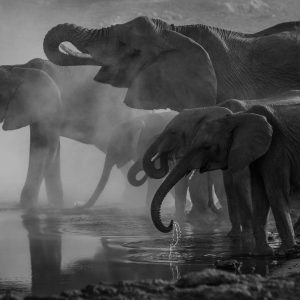 19 Day Livingstone to Cape Town Tour