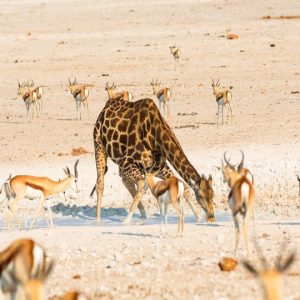 57 Day Nairobi to Cape Town Overland Tour