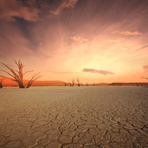 20 Day Cape Town to Victoria Falls Adventure Fully Serviced