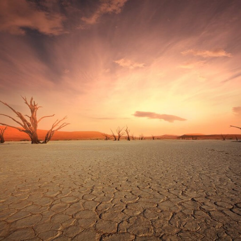 20 Day Victoria Falls to Cape Town Overland