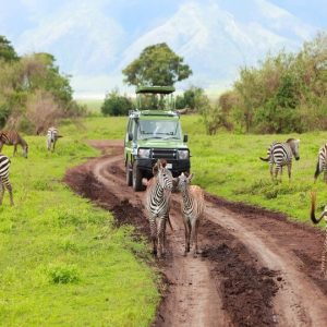 22 Day Livingstone to Nairobi Overland Explorer
