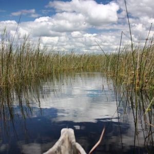 10 Day Okavango Delta and Chobe Safari